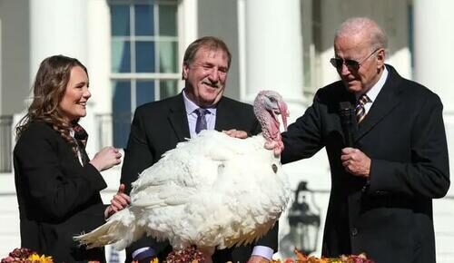 Click to enlarge biden turkey