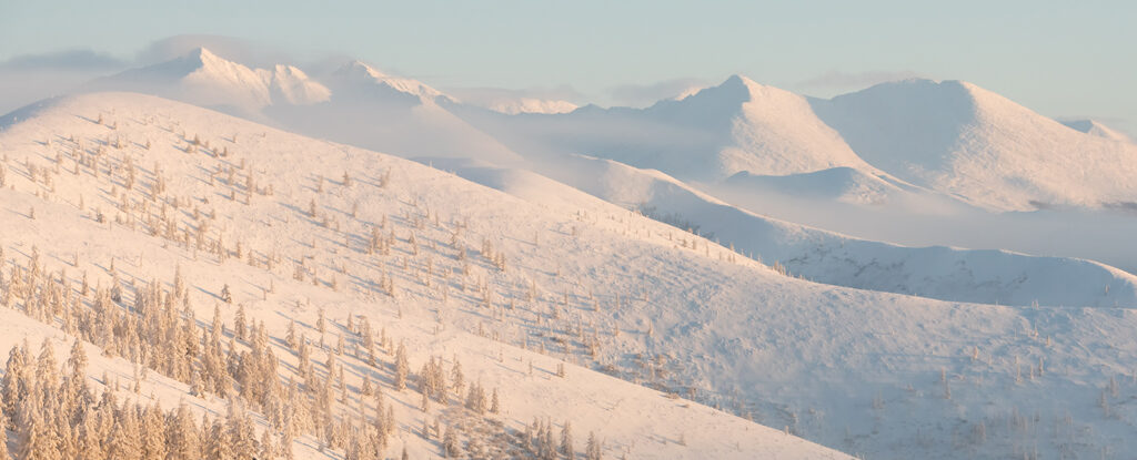 permafrost