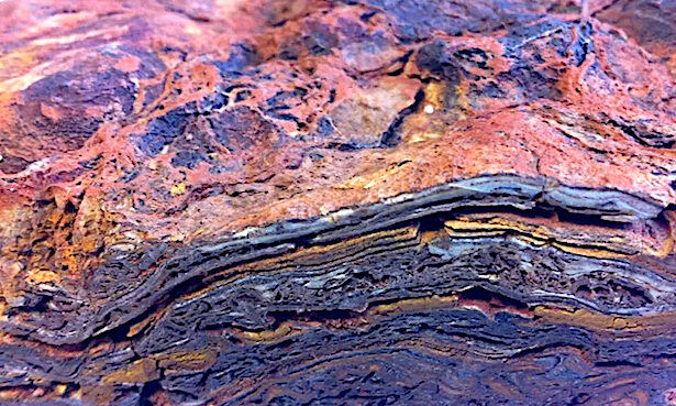 stromatolite