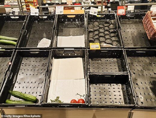empty shelves bare food shortages