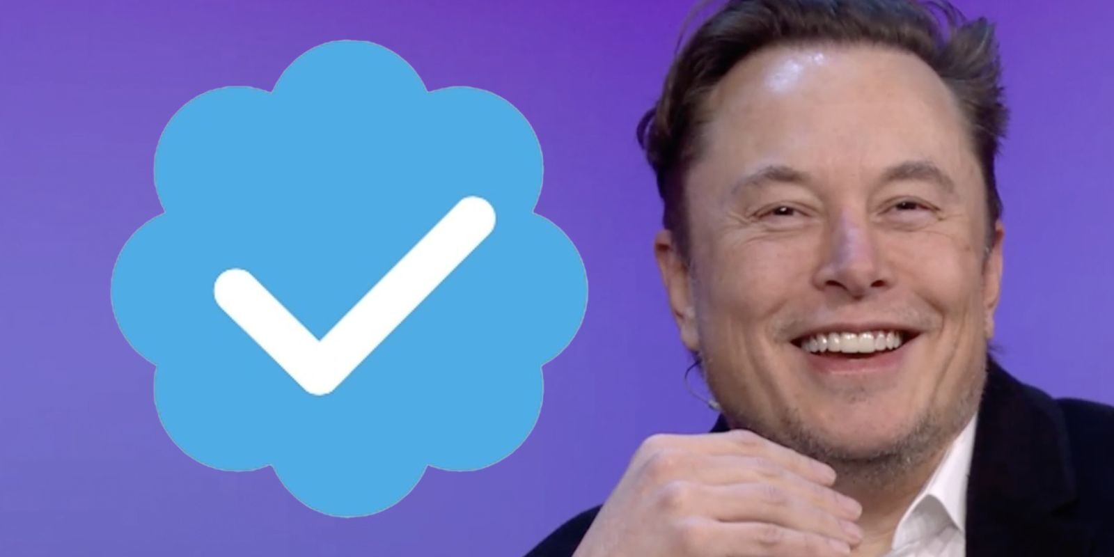 elon musk blue check