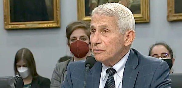fauci hearings may 2022 covid policies