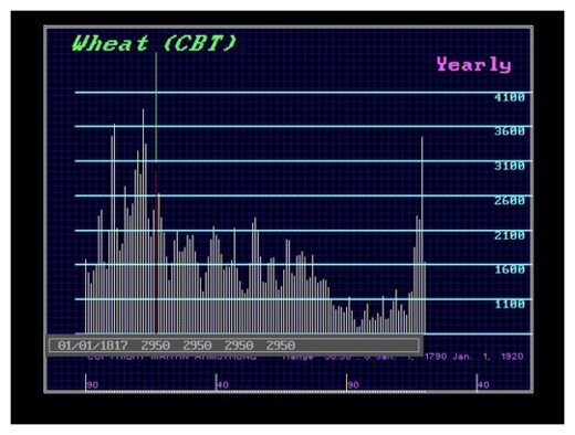Wheat (CBT)