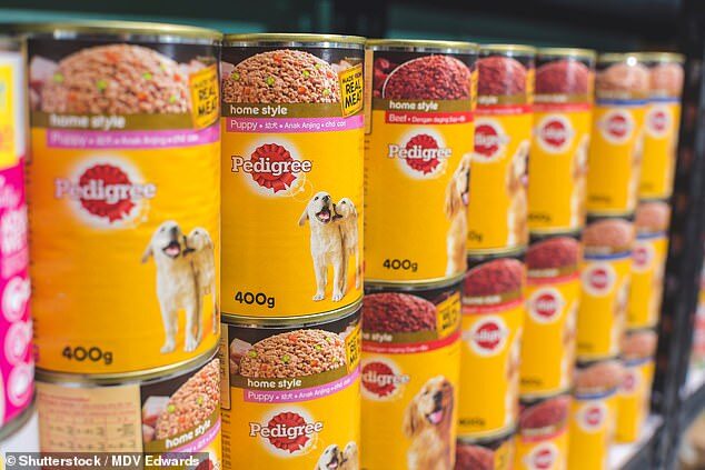 dog food