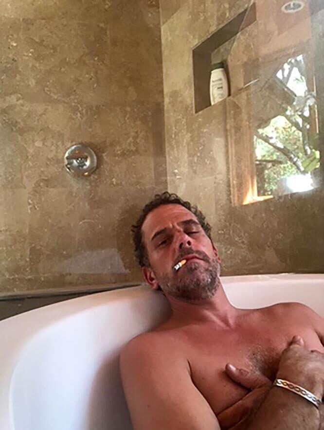 Click to enlarge hunter biden 1