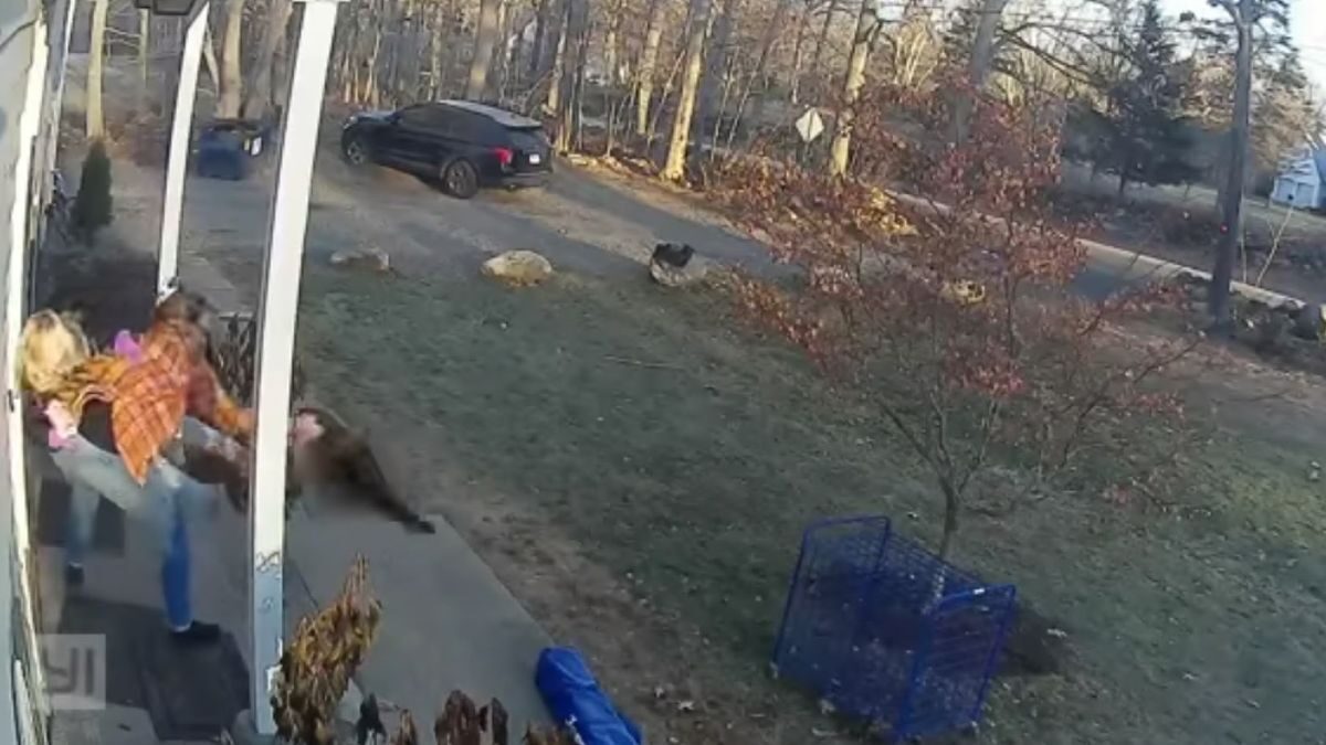 The mum picked up her daughter as she wrestled with the raccoon