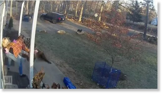 The mum picked up her daughter as she wrestled with the raccoon