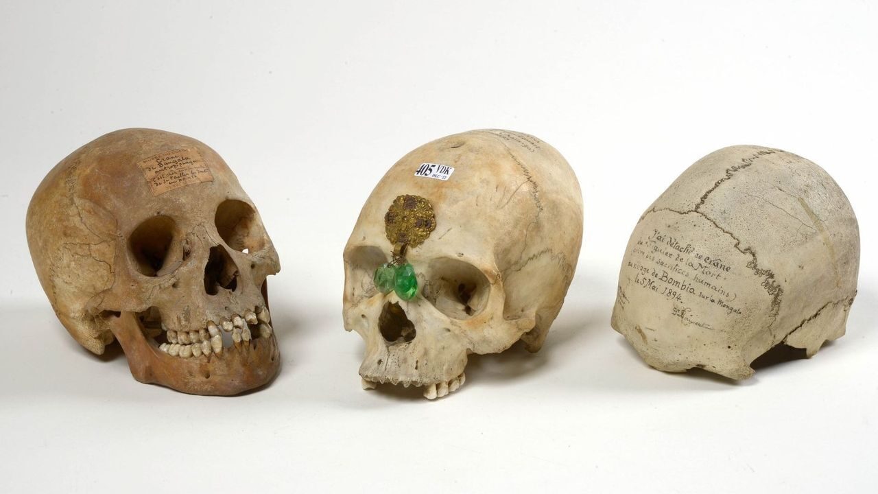 Click to enlarge skull