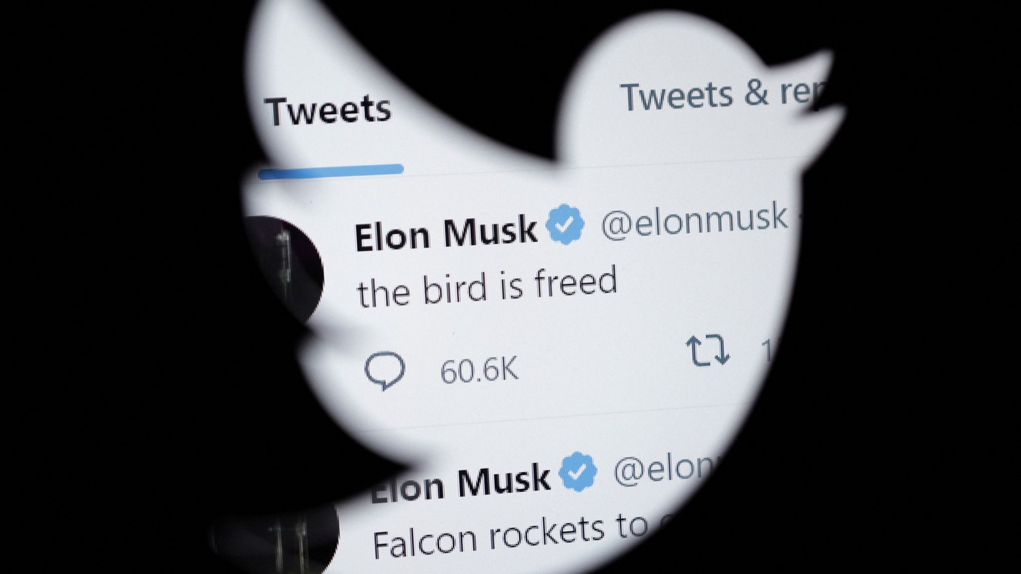 the bird is freed