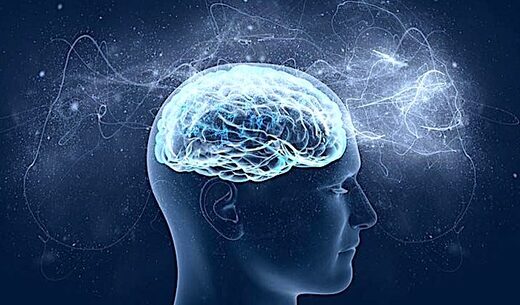 Click to enlarge Brain