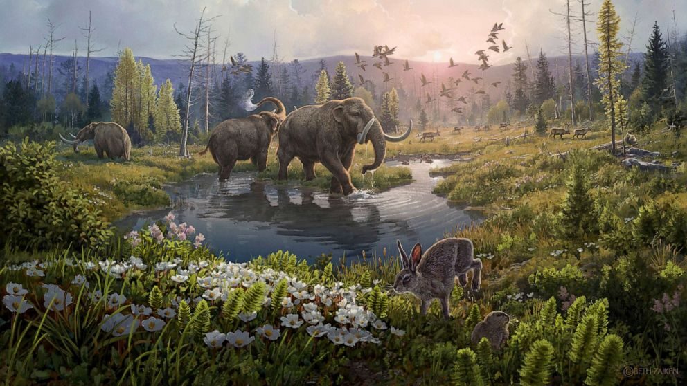 Greenland two million years ago