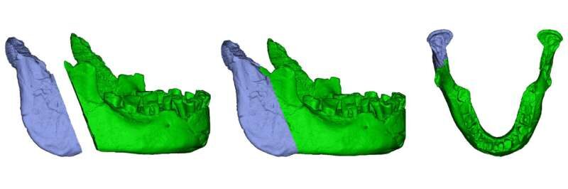 Click to enlarge Banyoles mandible