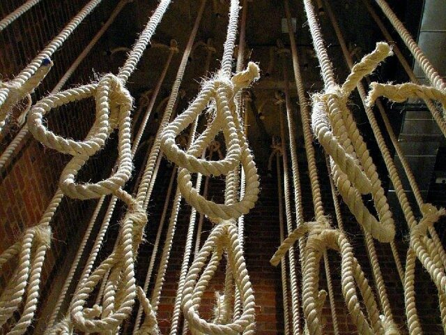 nooses