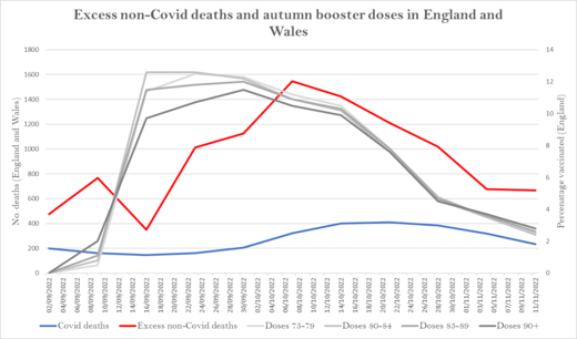 excess deaths australia 3