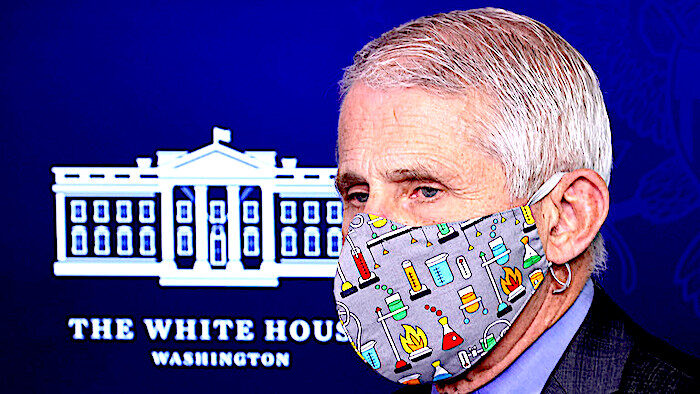 Click to enlarge Fauci