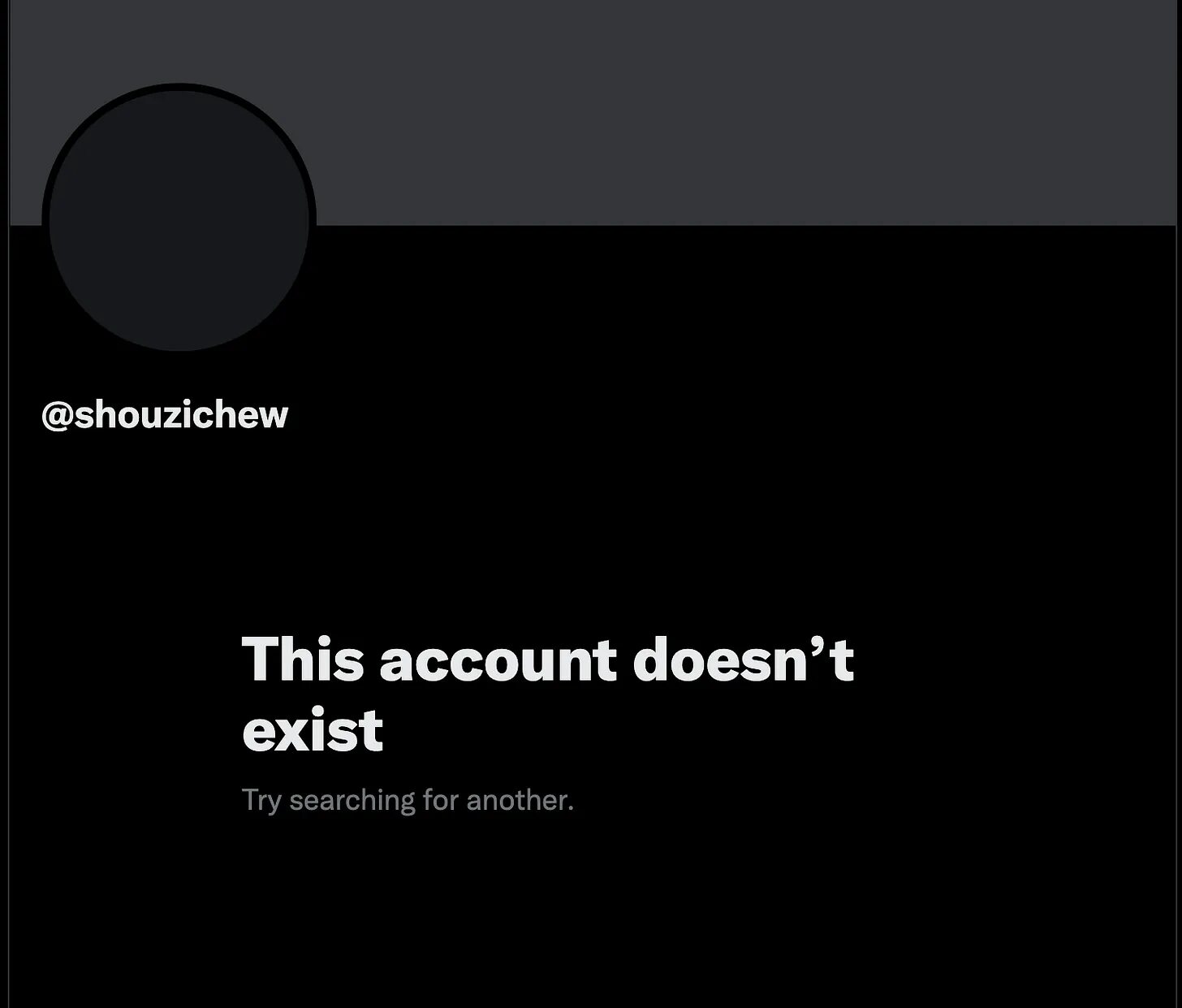 shouzichew twitter account deleted
