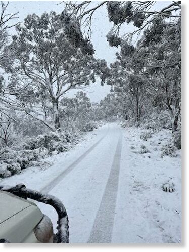 Snow has even fallen in Delegate on the border between NSW and Vic.