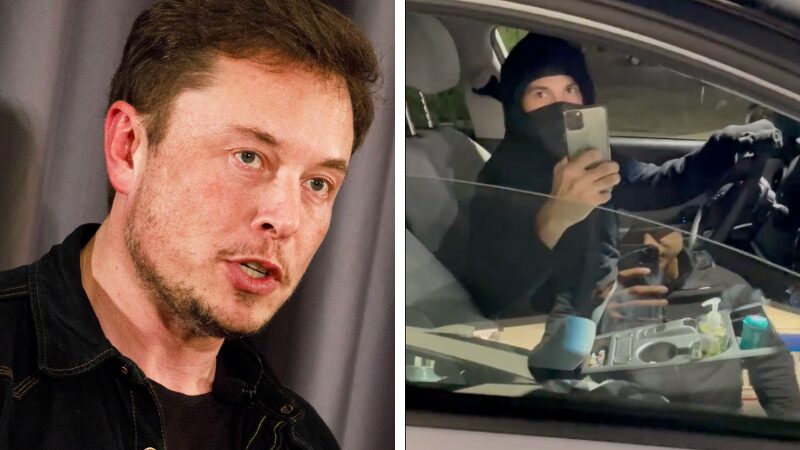 musk stalker son
