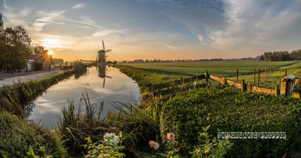 Farm netherlands