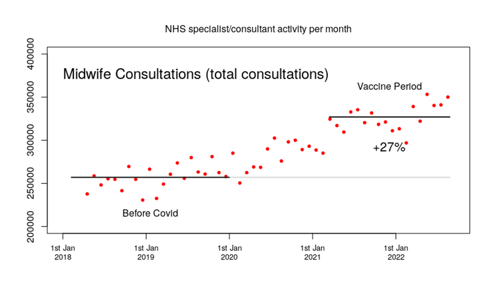 Midwife consultations per month