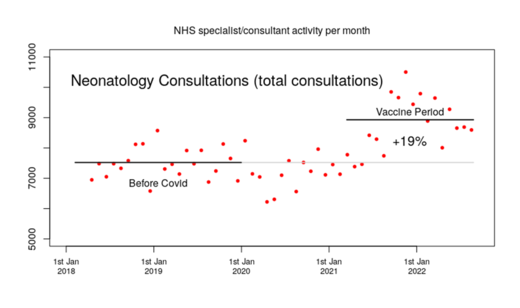 Neonatology consultations per month