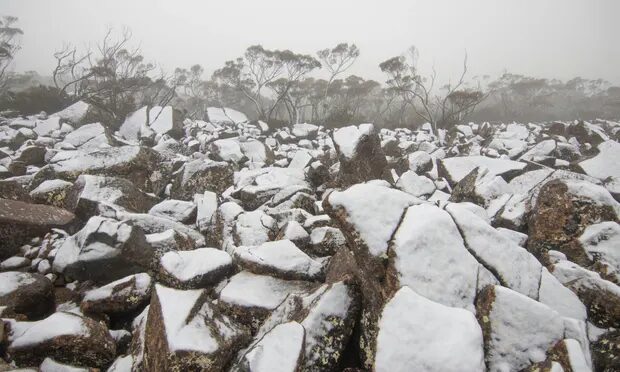 Snow on Mt Wellington near Hobart, Tasmania, on Thursday. It was the coldest December day in Hobart since 1964, reaching a maximum of just 11.5C.