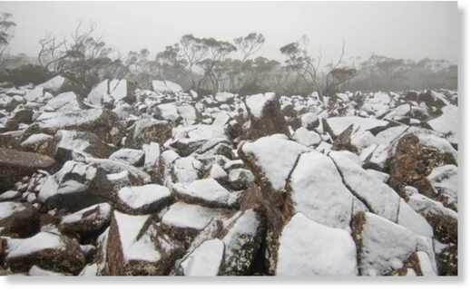 Snow on Mt Wellington near Hobart, Tasmania, on Thursday. It was the coldest December day in Hobart since 1964, reaching a maximum of just 11.5C.