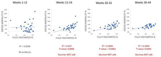 covid mortality 8