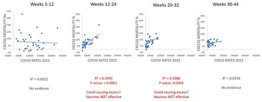 covid mortality 7