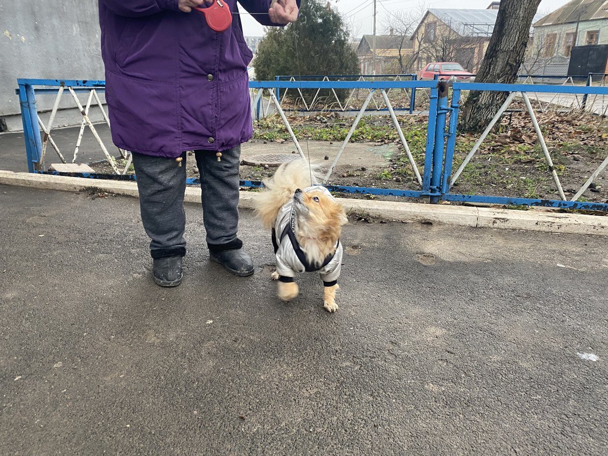 pet owner mariupol