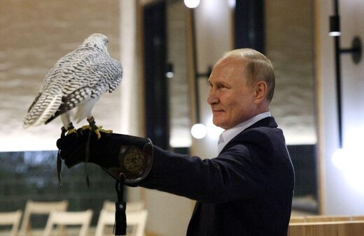 Putin Hawk