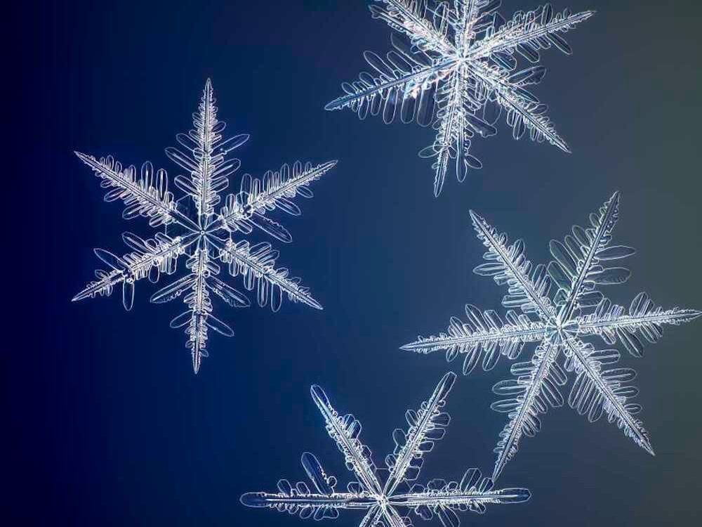 high resolution photograph snowflakes