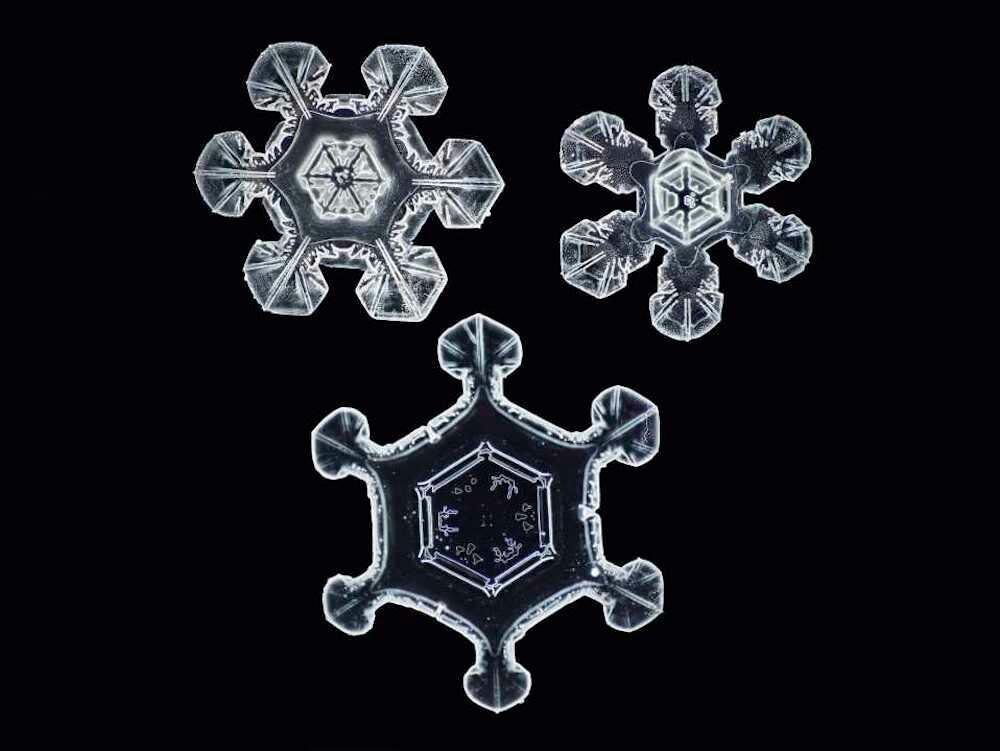 Click to enlarge snowflake high resolution photograph