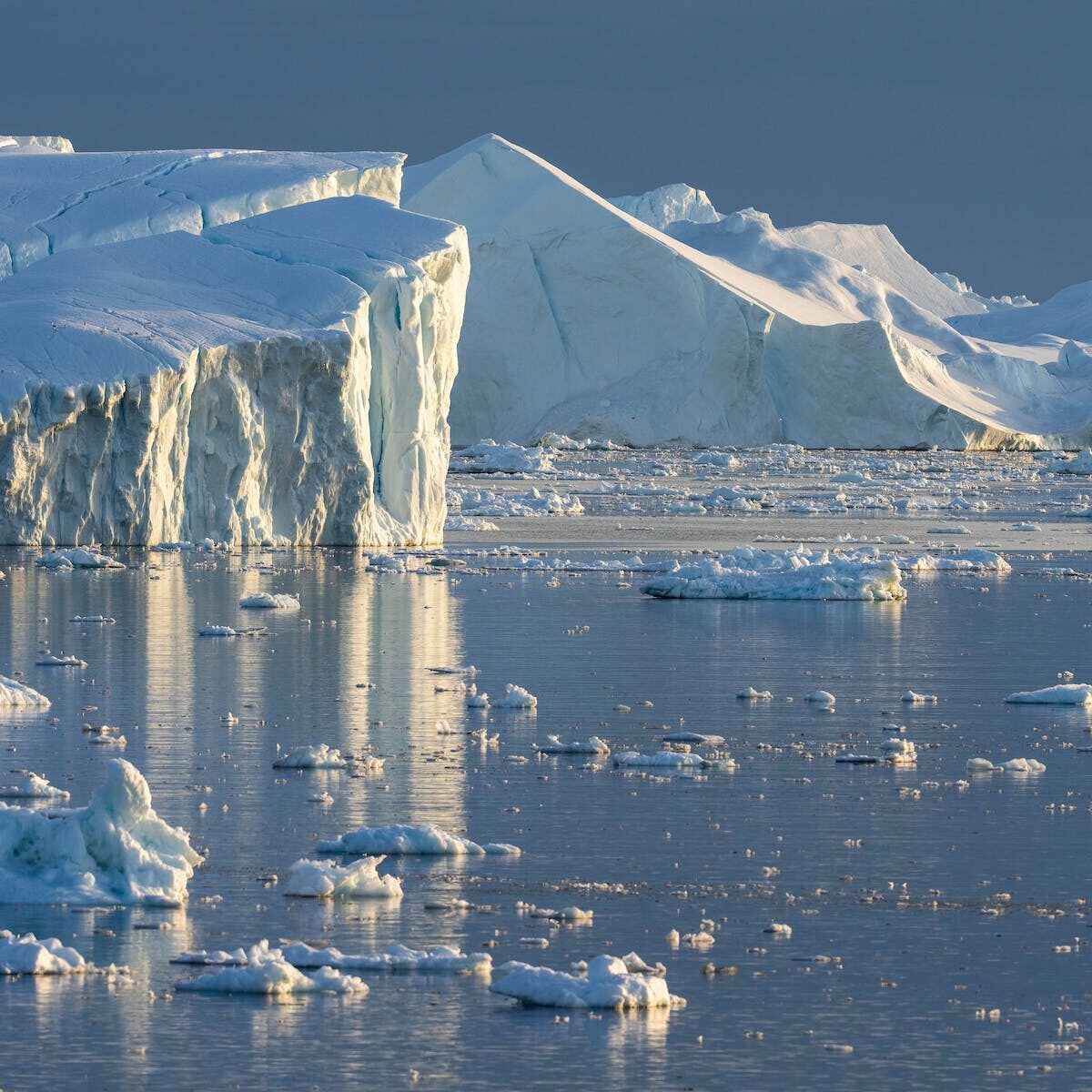 Click to enlarge Ice Age
