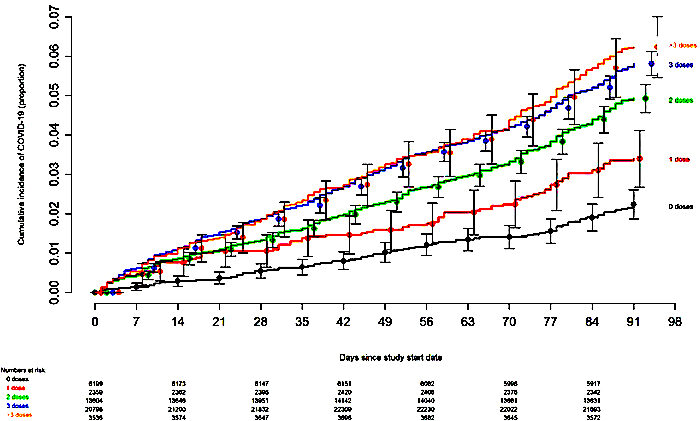 Chart 3