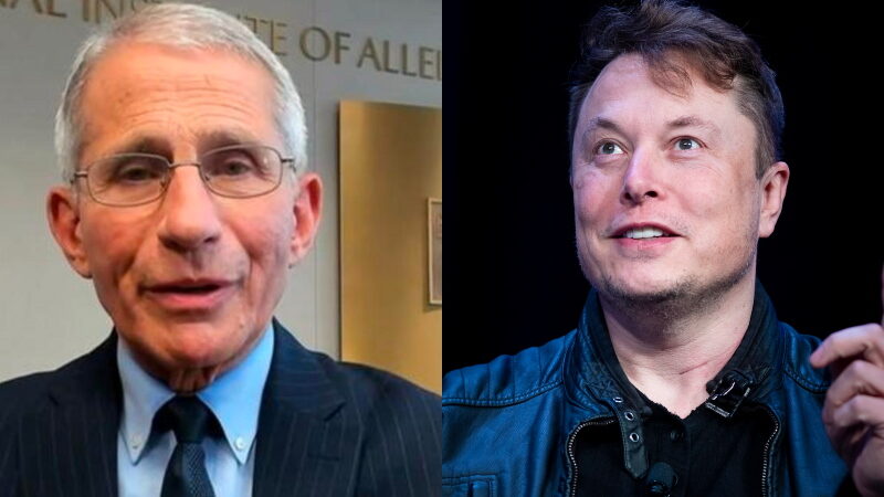 fauci musk twitter
