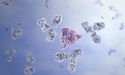 antibodies