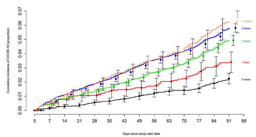 vocid vaccination weaken immune system infections