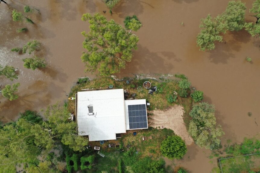 The river has broken its banks at Fitzroy Crossing, WA, and is lapping at Natalie Davey's home.