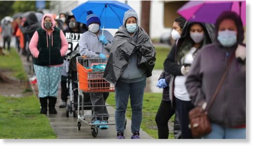 Los Angelos food bank line