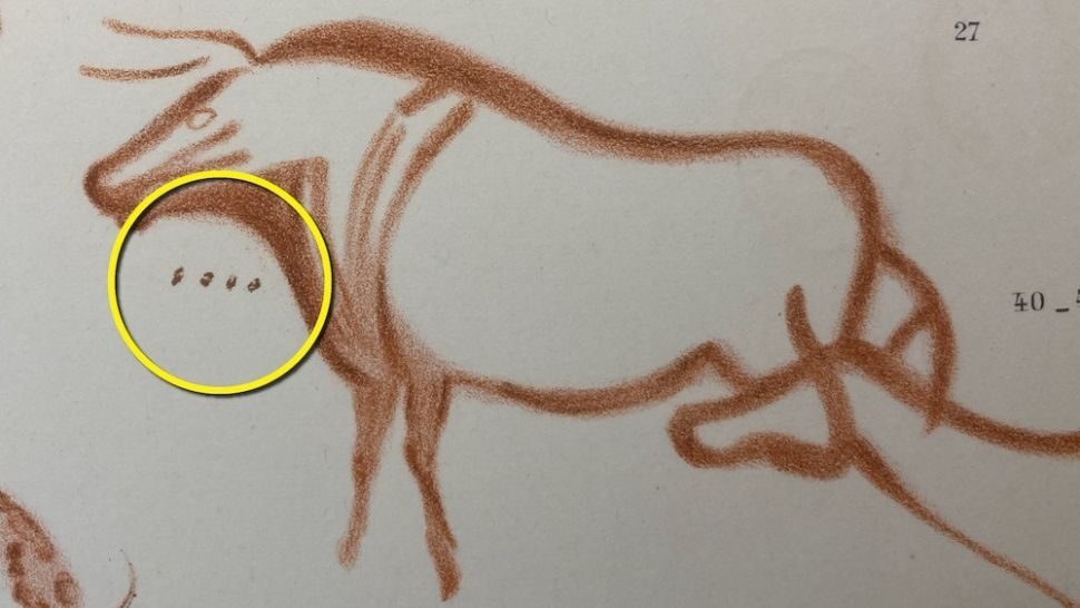 Click to enlarge Ancient Aurochs