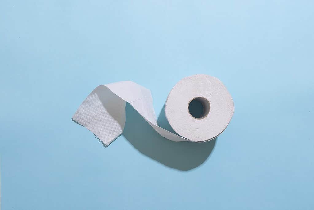 Click to enlarge Toilet Paper