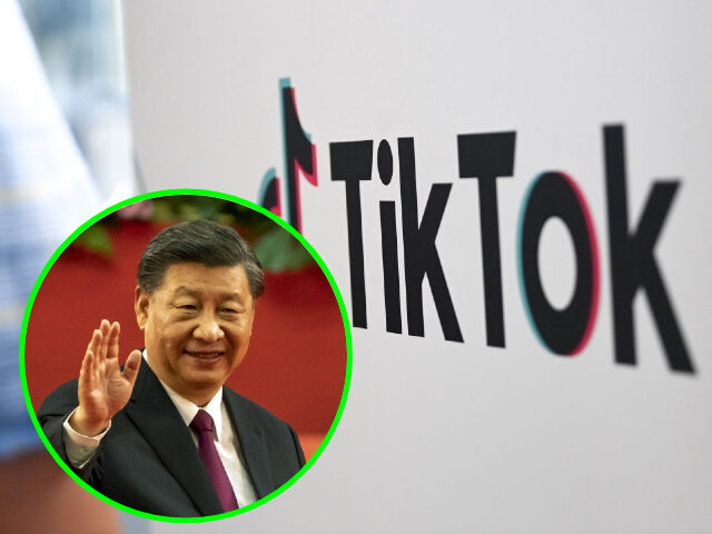 Click to enlarge china tik tok social media