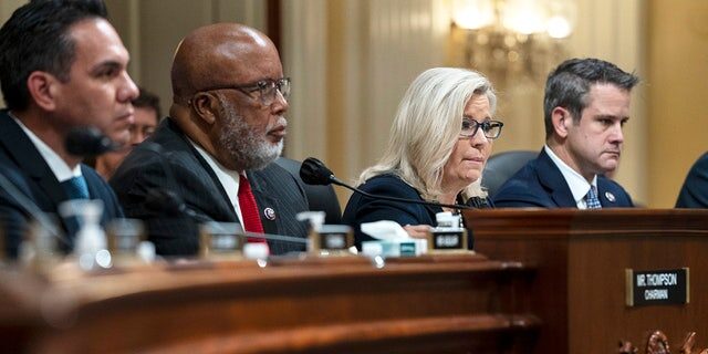 jan 6 committee thompson cheney kizinger aguilar