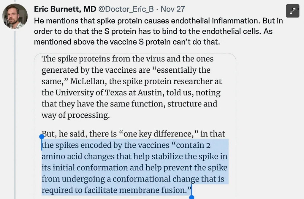 Click to enlarge spike protein vaccine death