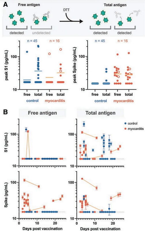 antigens myocarditis