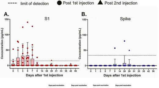 spike protein clear body days after vaccination