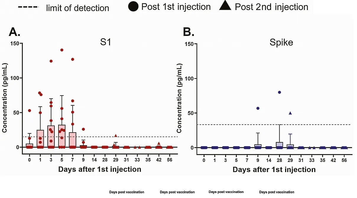 Click to enlarge spike protein clear body days after vaccination