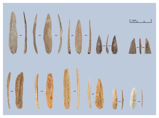 unmodified bladelets
