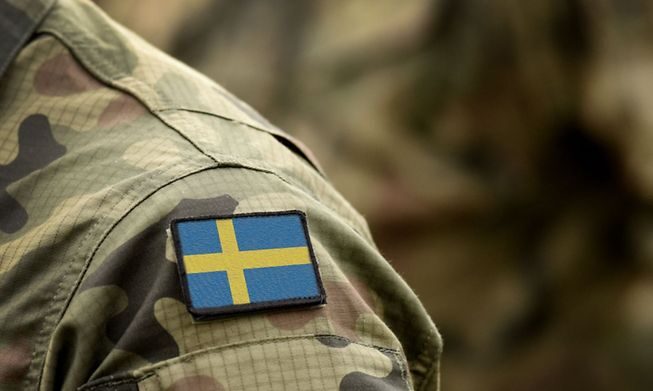 Click to enlarge swedish soldier